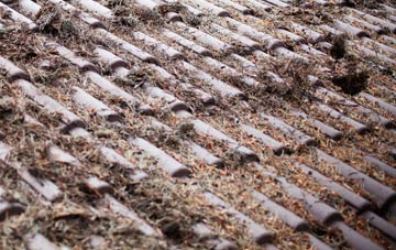 Carrbridge roof cleaning companies